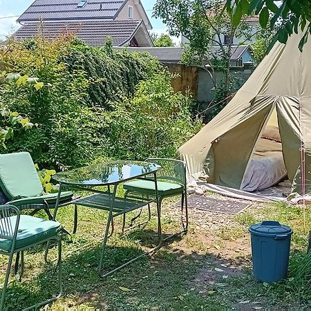 Camping Under The Walnut In Your Own Tent And Shared Bathroom 卢布尔雅那 外观 照片