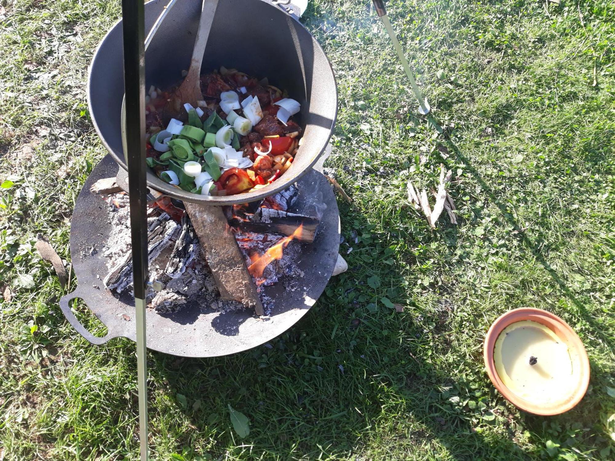Camping Under The Walnut In Your Own Tent On A Shared Lot And Shared Bathroom 卢布尔雅那 外观 照片