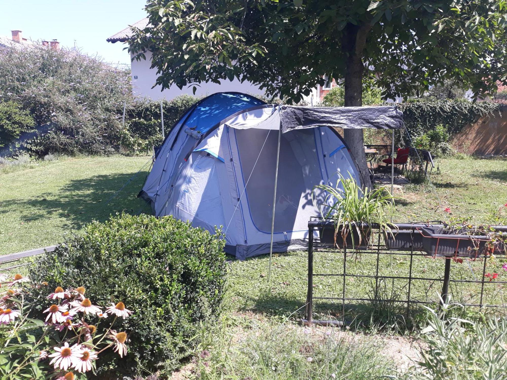 Camping Under The Walnut In Your Own Tent On A Shared Lot And Shared Bathroom 卢布尔雅那 外观 照片